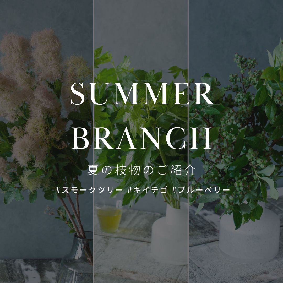 夏のインテリアに最適!キイチゴ、ブルーベリー、スモークツリーの枝物活用法とその魅力 - &YOUKAEN (アンドユーカエン)
