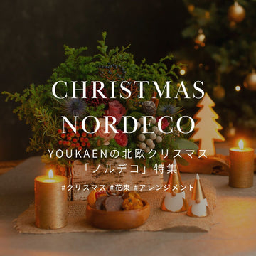 &YOUKAEN 2023 クリスマスギフト「ノルデコ」