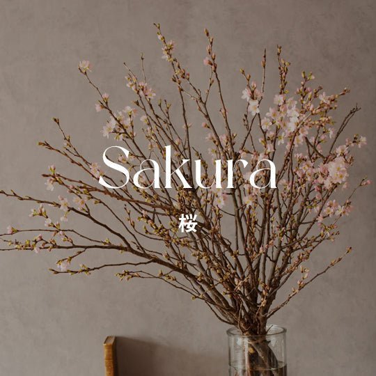 早咲き!山形県産の「啓翁桜」でおうち花見を楽しもう - &YOUKAEN (アンドユーカエン)