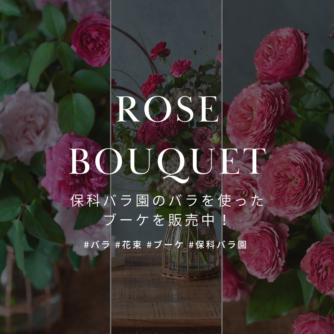 期間限定!保科バラ園のバラを使った花束・ブーケを販売中! - &YOUKAEN (アンドユーカエン)