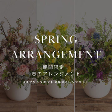 春の花を大切な人に贈ろう！ 期間限定 春の花のフラワーアレンジメント特集！