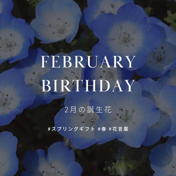 2月の誕生花 誕生日の花と花言葉の一覧