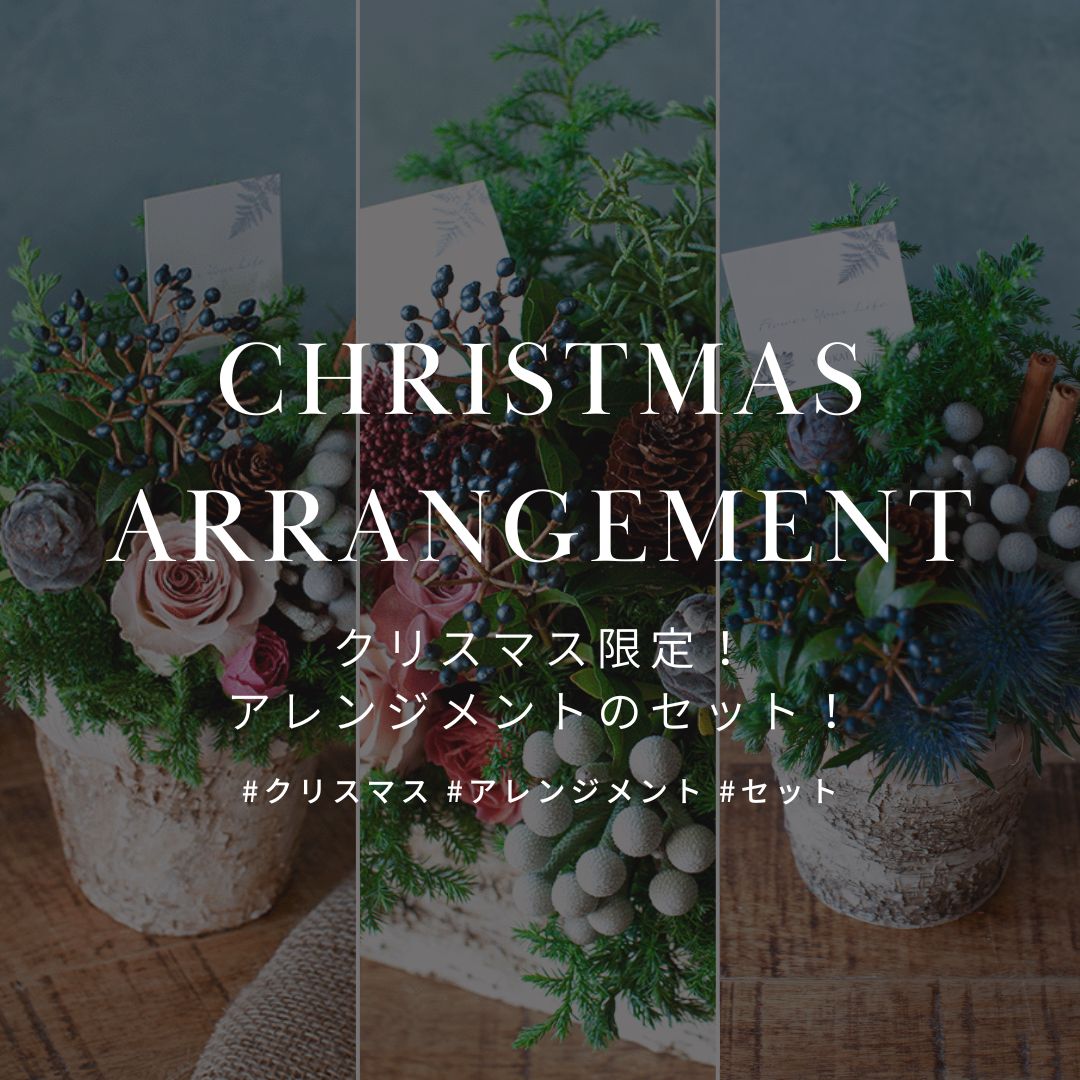 クリスマス限定! おしゃれなフラワーアレンジメント 12月18日まで販売中! - &YOUKAEN (アンドユーカエン)