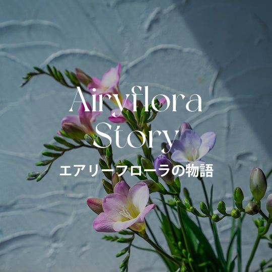 石川県発のエアリーフローラで彩る春の贈り物、新種フリージアが届ける希望 - &YOUKAEN (アンドユーカエン)