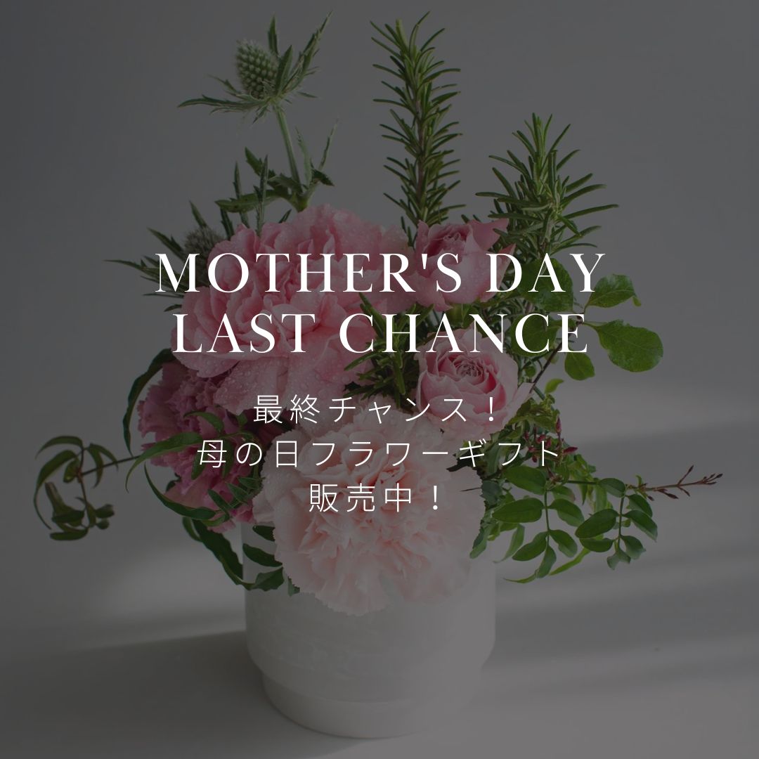 母の日商品、締め切り延長中!! 5月9日12:00まで! 今ならまだ母の日に間に合います! - &YOUKAEN (アンドユーカエン)