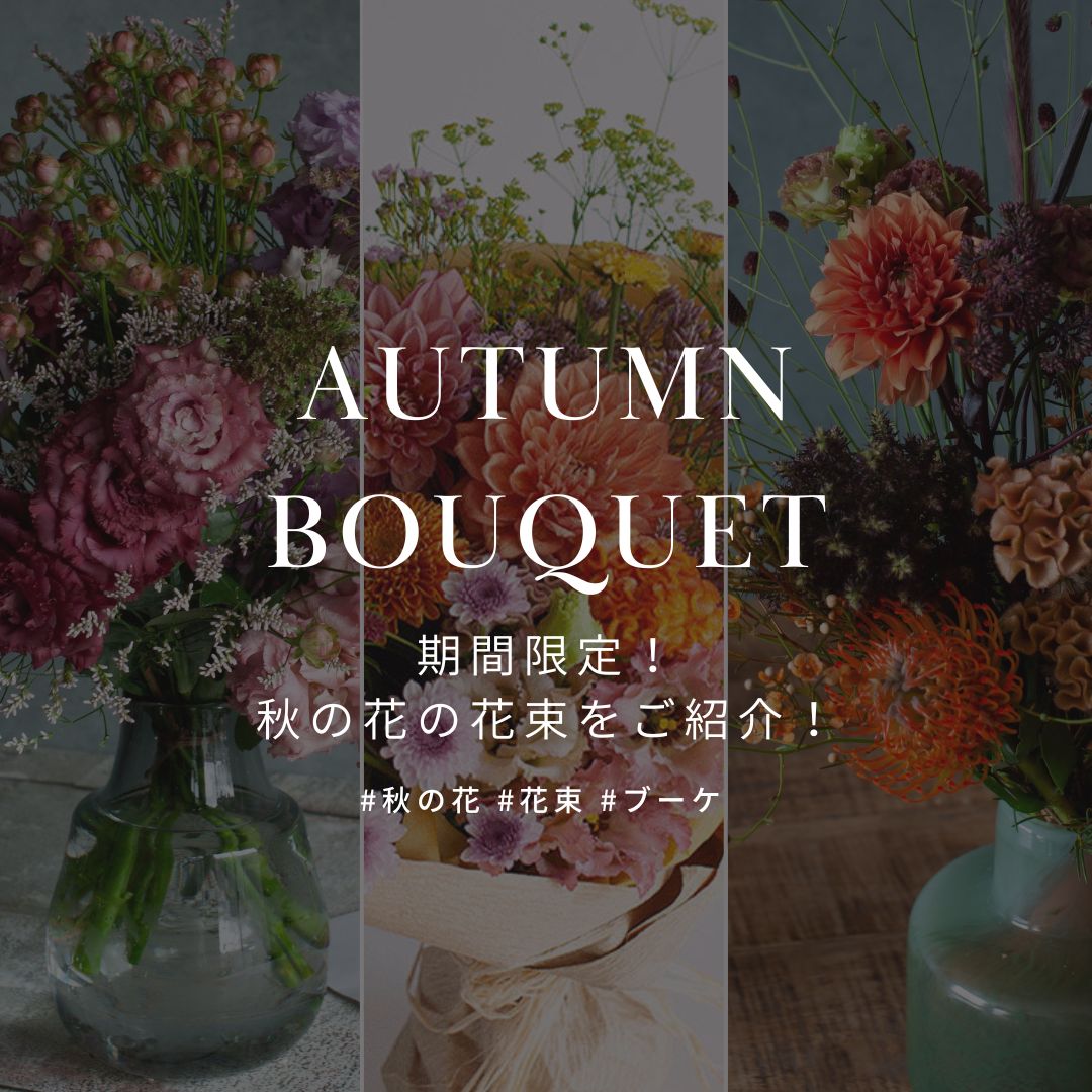 期間限定! 秋の花をたっぷり使った花束・ブーケを販売中! - &YOUKAEN (アンドユーカエン)