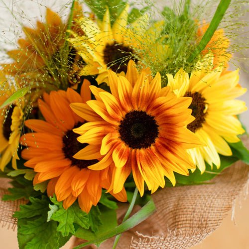 父の日にぴったり!な花言葉 &YOUKAENの特選ひまわりギフトガイド - &YOUKAEN (アンドユーカエン)