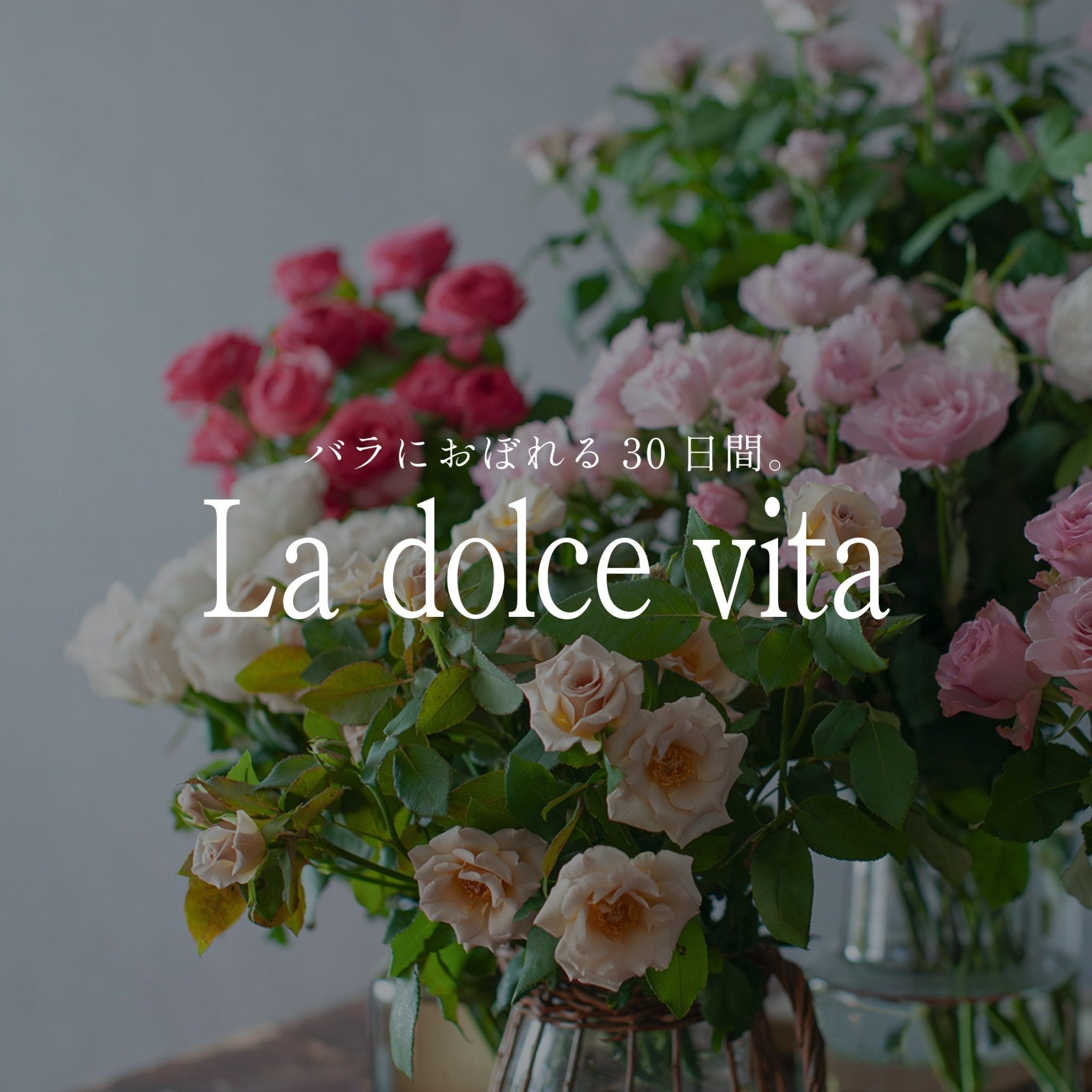 《バラにおぼれる30日間 -la dolce vita》#8 秋バラ定期便の4種類の品種選定へのこだわり - &YOUKAEN (アンドユーカエン)