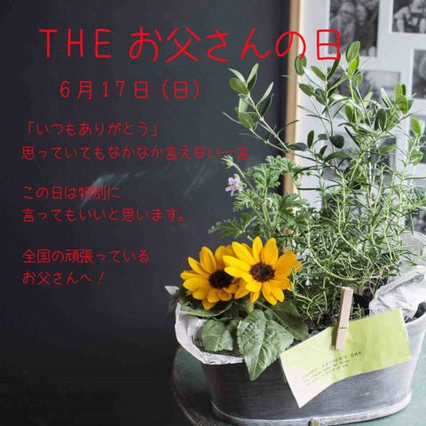 THE お父さんの日 - &YOUKAEN (アンドユーカエン)