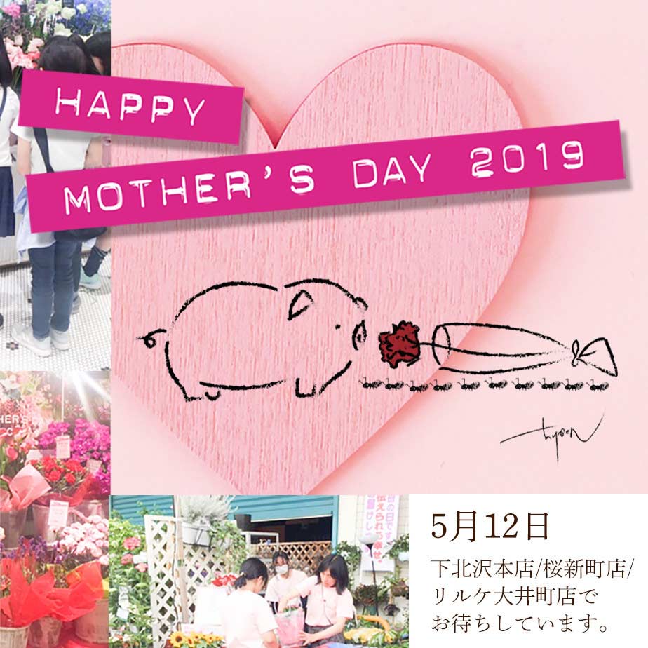 母の日2019 お花をギフトに如何ですか? - &YOUKAEN (アンドユーカエン)