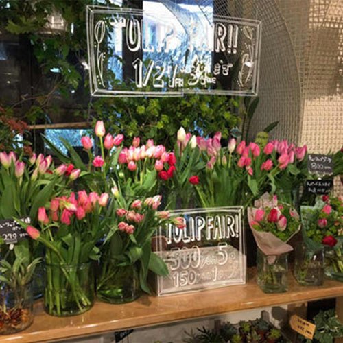 ユー花園ではチューリップフェアを好評開催中! - &YOUKAEN (アンドユーカエン)