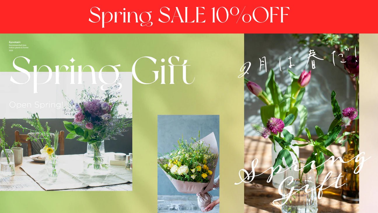 10%OFF 還元スプリングセールのご案内 - &YOUKAEN (アンドユーカエン)