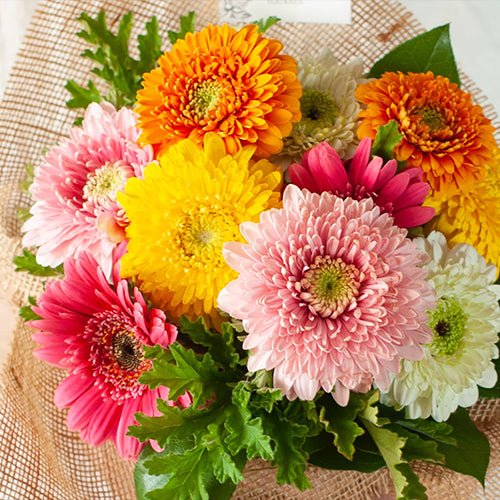 花束をプレゼントしよう!&YOUKAENではおしゃれな花束を販売中! - &YOUKAEN (アンドユーカエン)