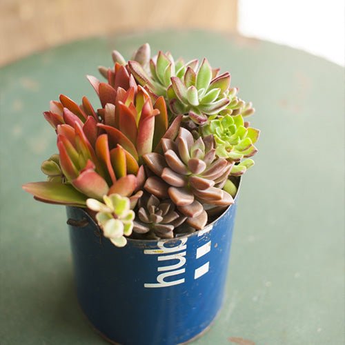 梅雨を楽しむ気分 - &YOUKAEN (アンドユーカエン)