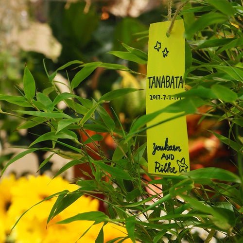 七夕フラワーギフト販売中!笹の葉さらさら - &YOUKAEN (アンドユーカエン)