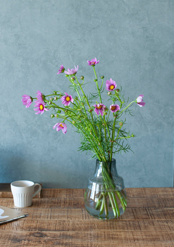 季節の花 50cm「コスモス おまかせ10本」