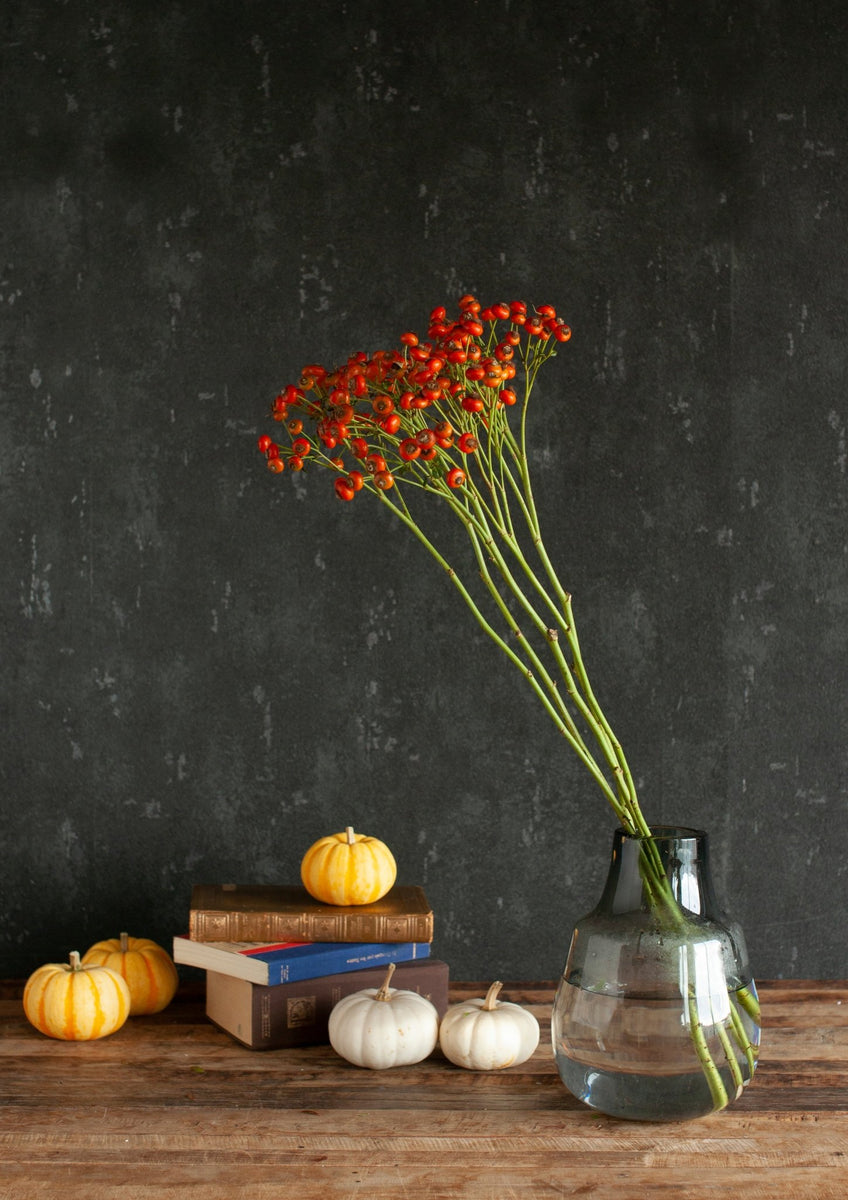 季節の枝もの40～50cm「バラの実」5本 – &YOUKAEN (アンドユーカエン) 