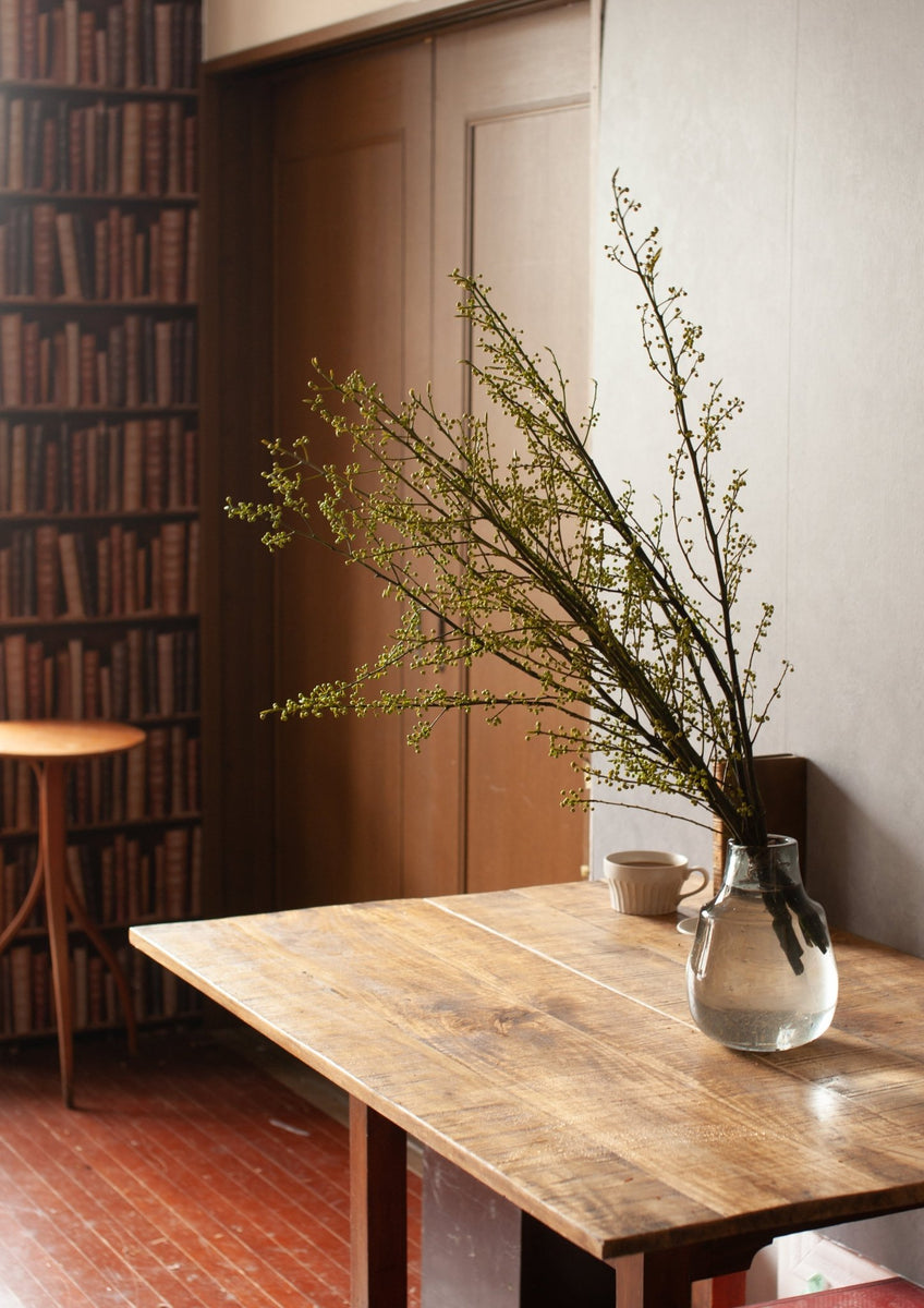 spring_aomoji_001_003_1200x120