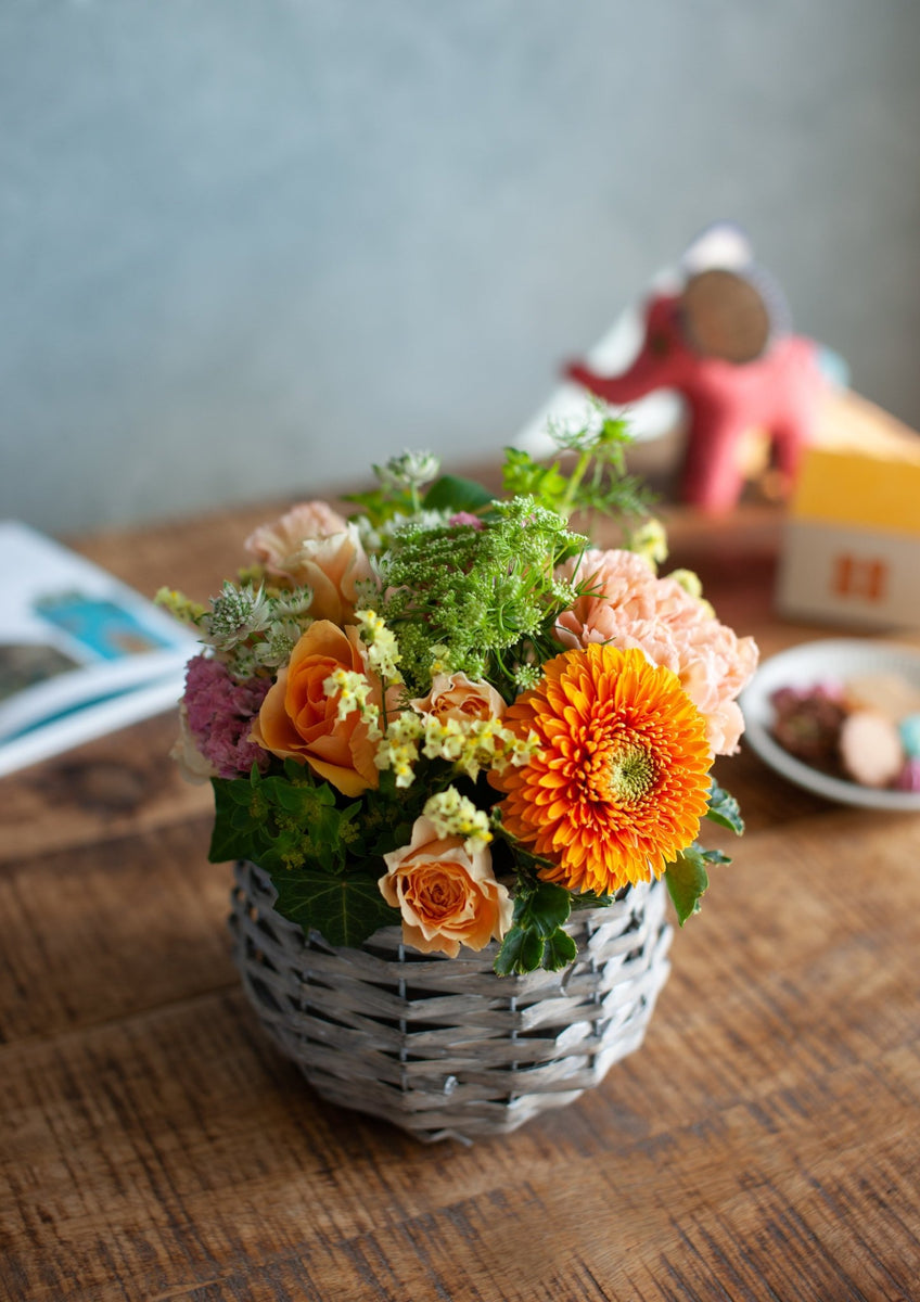 standard_arrange_orange_008_00