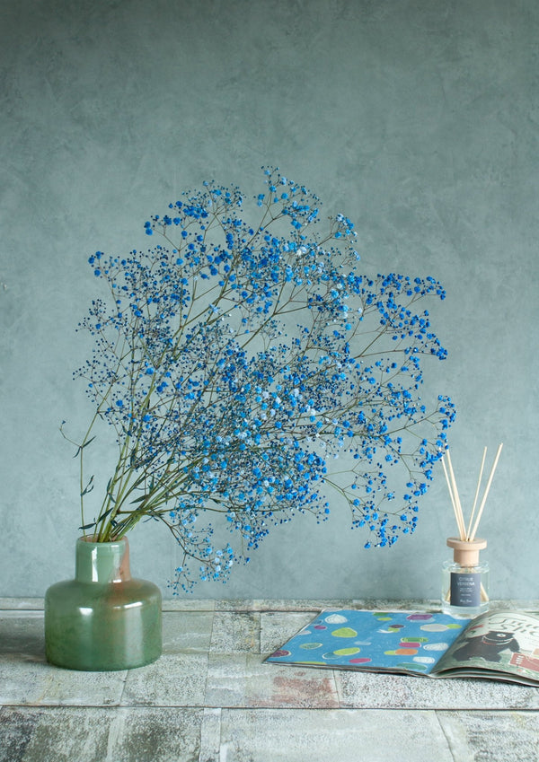 季節の花50~60cm 「カスミソウ染 ブルー」5本