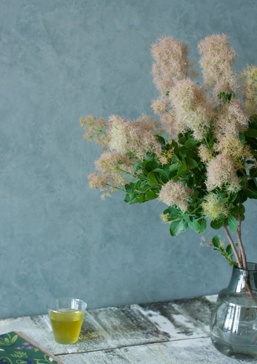 summer_smoketree_002_003_1200x