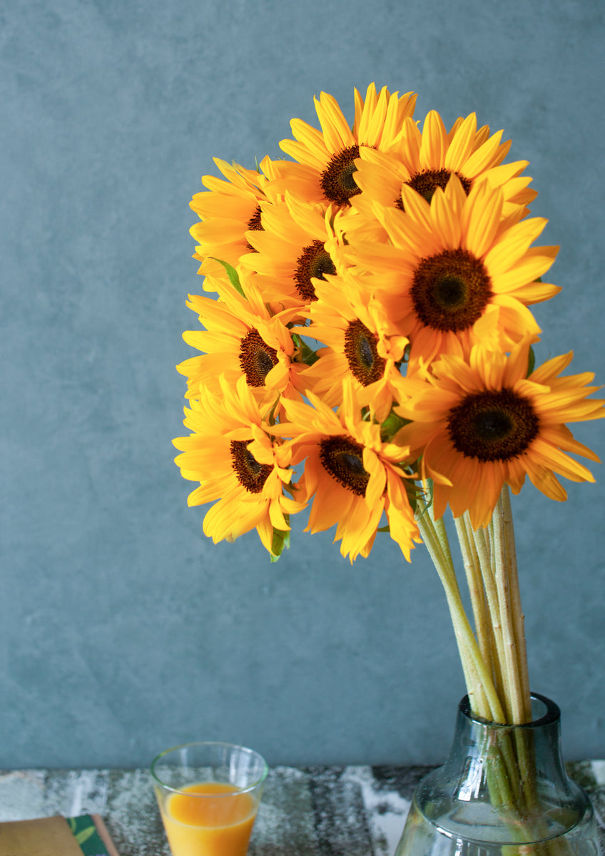 季節の花 50～60ｃｍ 「ひまわり」サンリッチオレンジ10本 花径8 