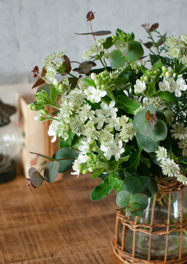 季節を贈るバースデーフラワー 12月「ユーカリとホワイトスター」【ブーケ】