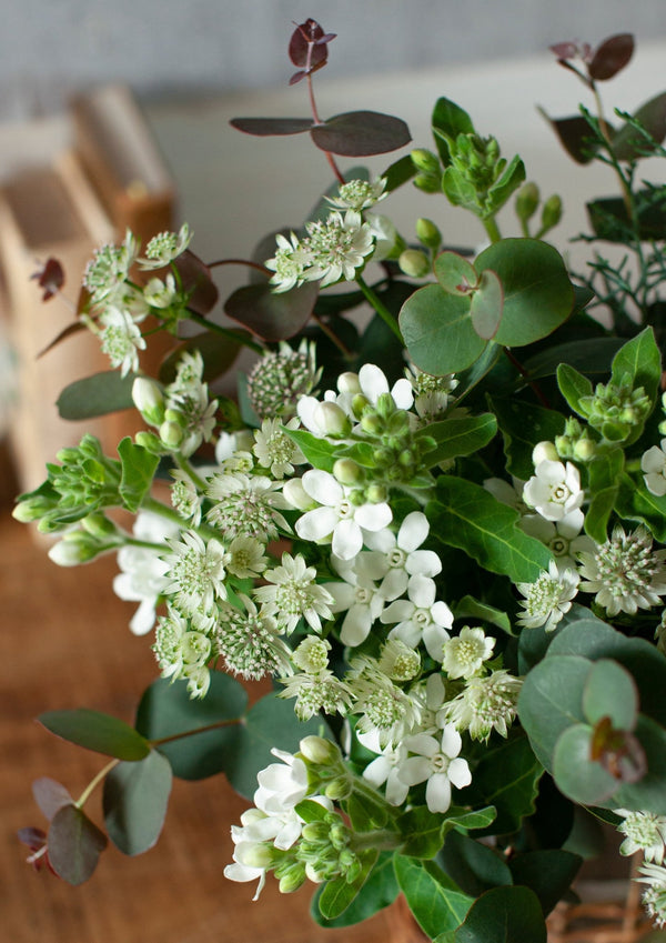 季節を贈るバースデーフラワー 12月「ユーカリとホワイトスター」【ブーケ】