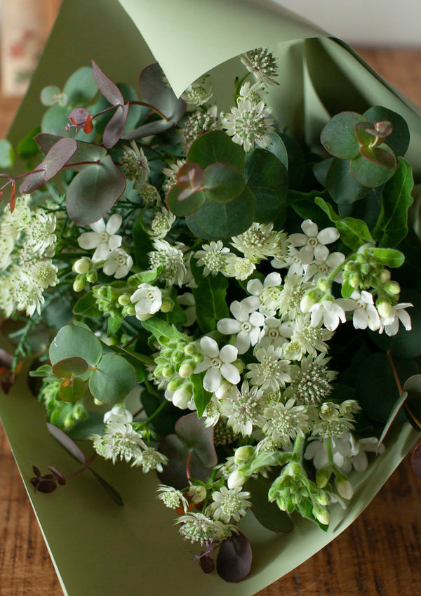 季節を贈るバースデーフラワー 12月「ユーカリとホワイトスター」【ブーケ】