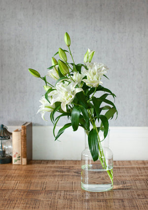 季節の花 50cm 「ユリ(オリエンタル系) ホワイト八重」3本