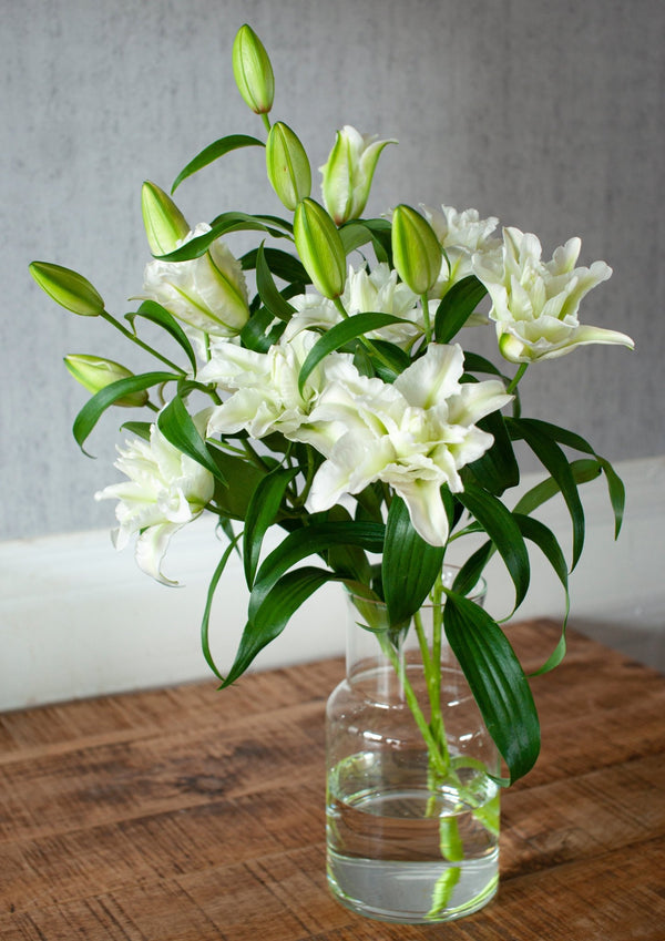 季節の花 50cm 「ユリ(オリエンタル系) ホワイト八重」3本