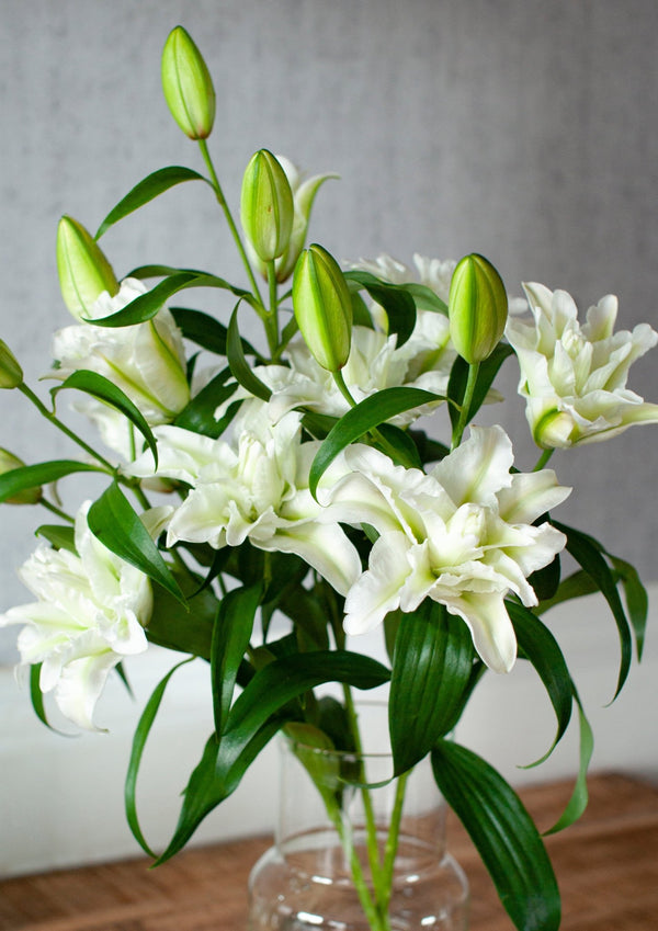 季節の花 50cm 「ユリ(オリエンタル系) ホワイト八重」3本