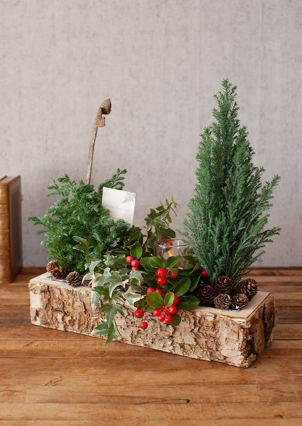 クリスマスアソート “ブルージュの森”(M)「birch berry」 幅38cm × 高さ38cm 【Xmas2022】