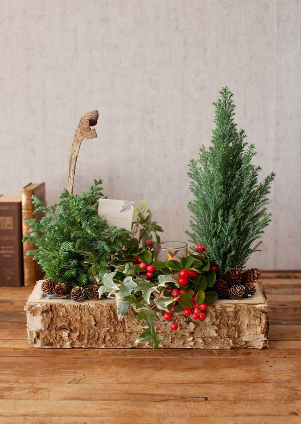 クリスマスアソート “ブルージュの森”(M)「birch berry」 幅38cm × 高さ38cm 【Xmas2022】