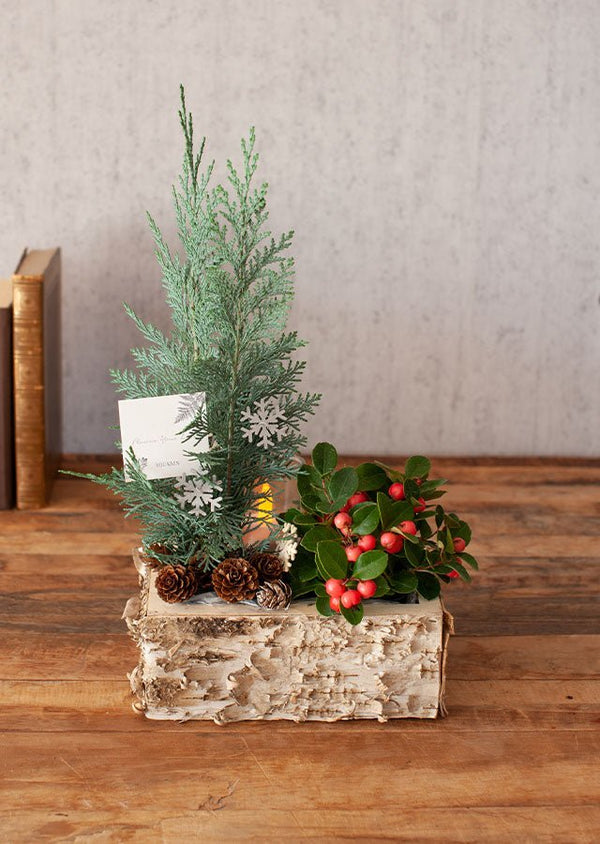 クリスマスアソート “ブルージュの森”(S)「birch berry」 幅18cm × 高さ38cm