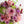 秋のお花を使った フラワーアレンジメント「すもも」 幅15cm×高さ17cm 【期間限定 オータムギフト】