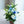 【おしゃれなお供え花】お供え花のアレンジメント 青 Sサイズ【アレンジメント】