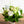 【花束】シンプルでおしゃれな ナチュラルグリーンの花束 Mサイズ【おしゃれなブーケ】