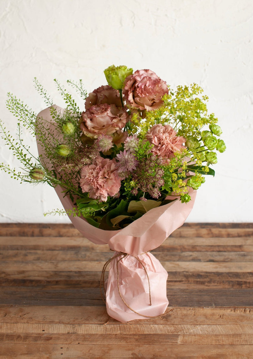 竜宮の乙女シリーズ　　今年の新花　大型ピンク花　美花　１株