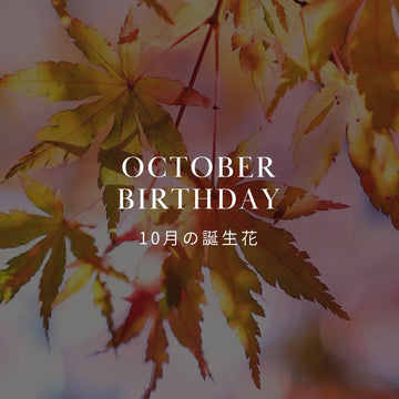 10月の誕生花 誕生日の花と花言葉の一覧