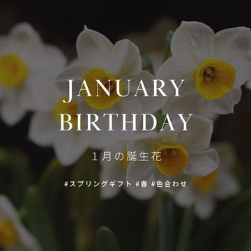 1月の誕生花 誕生日の花と花言葉の一覧 - &YOUKAEN (アンドユーカエン)