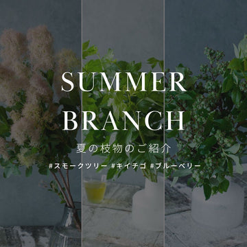 Summerbranch 夏の枝物のご紹介  #スモークツリー #キイチゴ #ブルーベリー