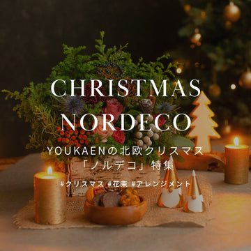 &YOUKAEN 2023 クリスマスギフト「ノルデコ」 - &YOUKAEN (アンドユーカエン)