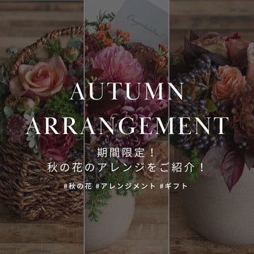 期間限定！ 秋の花をたっぷり使ったフラワーアレンジメントを販売中！