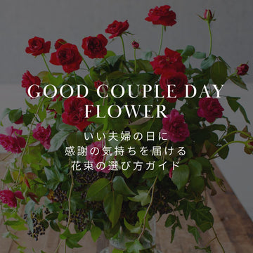 いい夫婦の日に感謝の気持ちを届ける 花束の選び方ガイド - &YOUKAEN (アンドユーカエン)