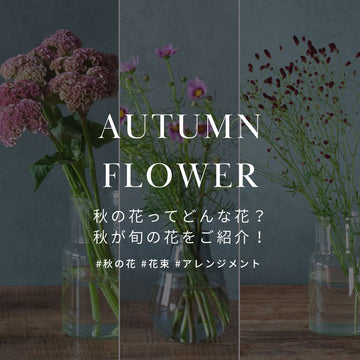 秋の花ってどんな花？ 秋が旬の花をご紹介！ - &YOUKAEN (アンドユーカエン)