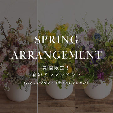 春の花を大切な人に贈ろう！ 期間限定 春の花のフラワーアレンジメント特集！ - &YOUKAEN (アンドユーカエン)