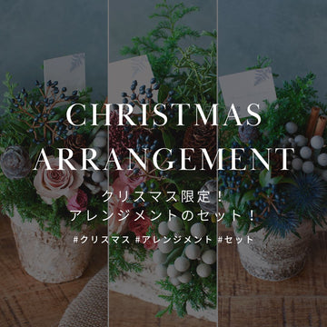 クリスマス限定！ おしゃれなフラワーアレンジメント 12月18日まで販売中！ - &YOUKAEN (アンドユーカエン)