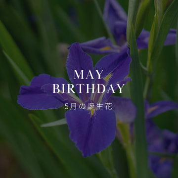 5月の誕生花 誕生日の花と花言葉の一覧