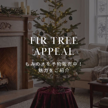本物のクリスマスツリーをお迎え！もみの木（生木・鉢植え）の魅力 - &YOUKAEN (アンドユーカエン)